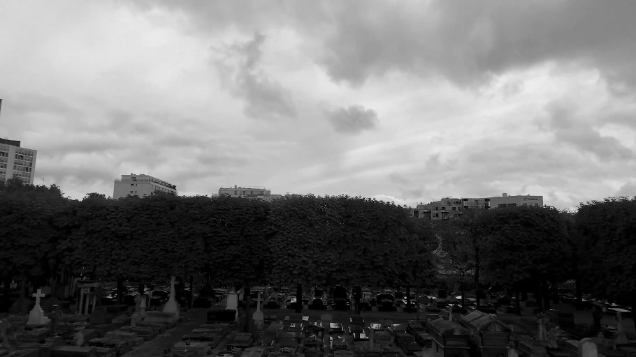 A black-and-white panoramic film still of a Paris cemetery beneath a cloudy sky.